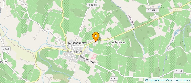 localisation de l'entreprise GN HOLDING  PELLEGRUE