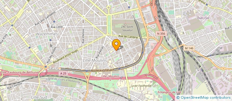 localisation de l'entreprise GO COLIS à LILLE