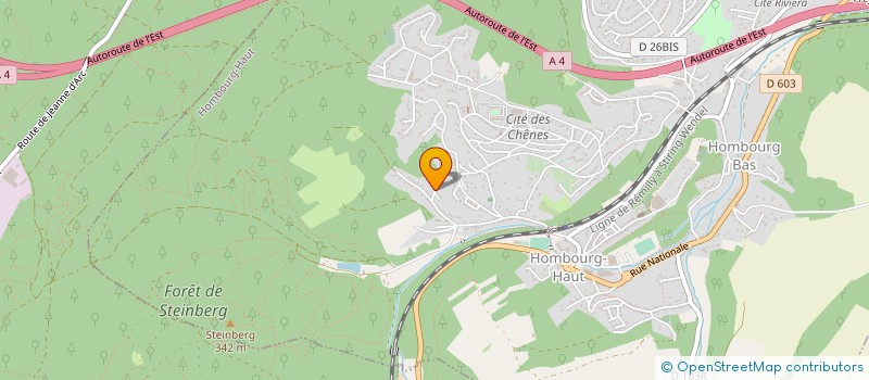 localisation de l'entreprise GO FROID  FORBACH