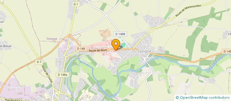 localisation de l'entreprise GO N VAP  SAVIGNE