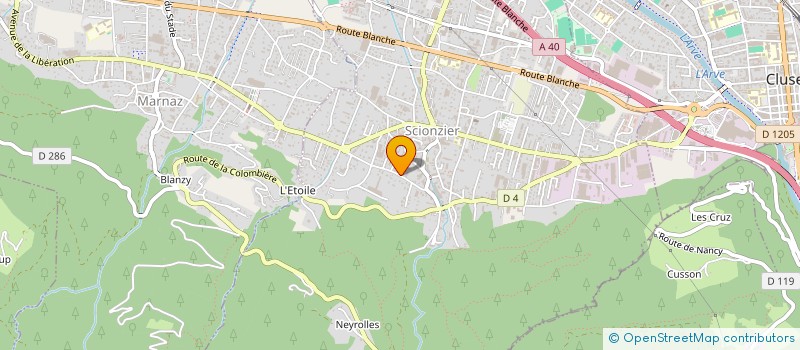 localisation de l'entreprise GO'NETT  SCIONZIER