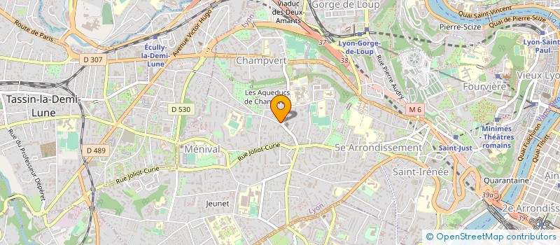 localisation de l'entreprise GO PROMO-SERVICES à LYON