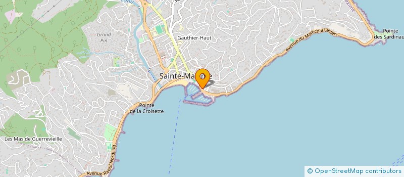 localisation de l'entreprise GOBO à SAINTE-MAXIME