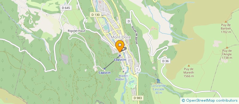 localisation de l'entreprise GOIGOUX ARSENE ET ROLAND  MONT-DORE