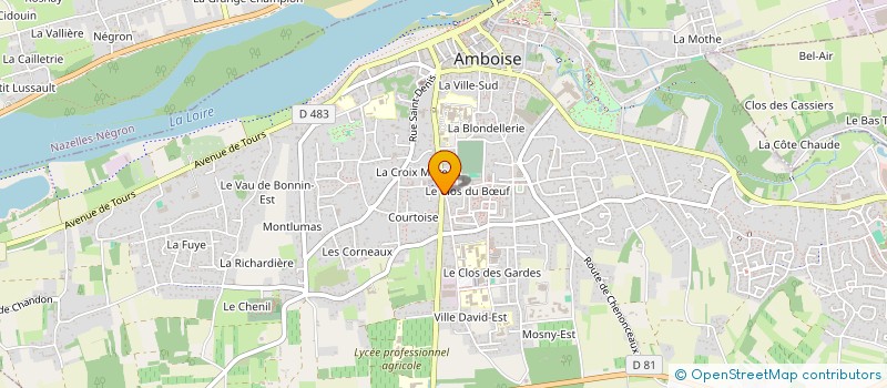 localisation de l'entreprise GOLD OCCASION à AMBOISE