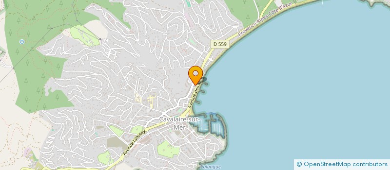 localisation de l'entreprise GOLDEN CAFE à CAVALAIRE-SUR-MER