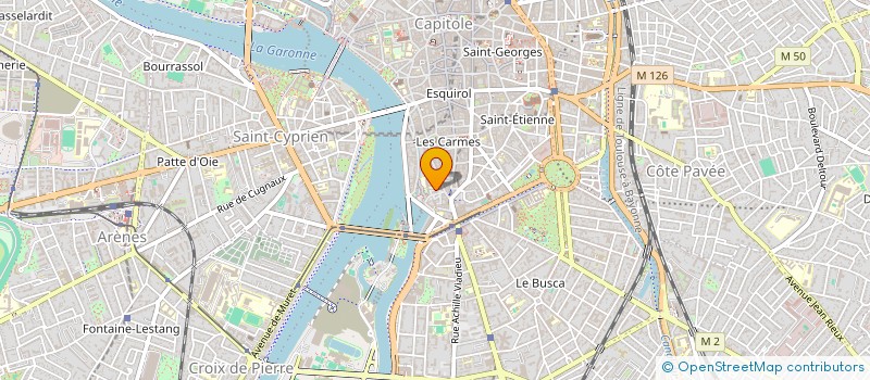 localisation de l'entreprise GOLDEN CHILD TOURNEES à TOULOUSE