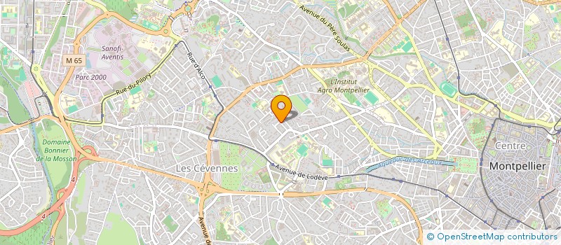 localisation de l'entreprise GOLDEN CUP à MONTPELLIER