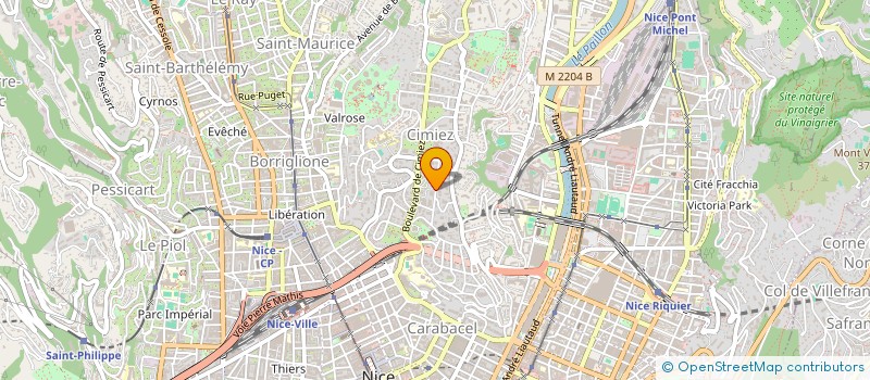 localisation de l'entreprise GOLDEN DELICIOUS  NICE