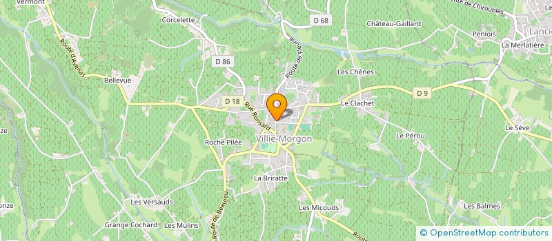 localisation de l'entreprise GOLDEN KEBAB  VILLIE-MORGON