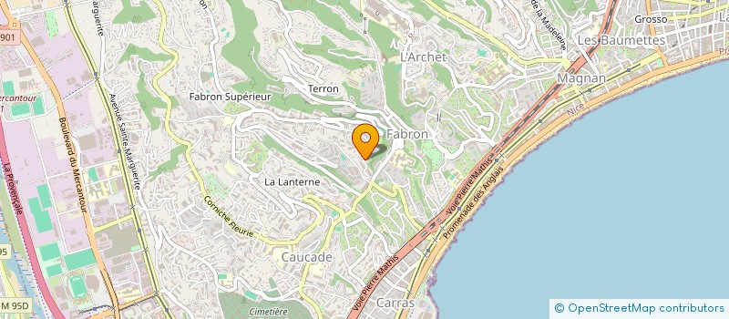 localisation de l'entreprise GOLDFEATHER à NICE