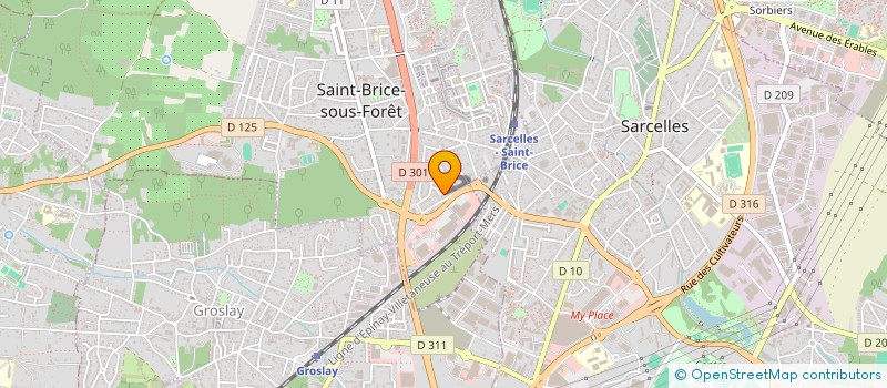 localisation de l'entreprise GOLDIN EYEWEAR  SAINT-BRICE-SOUS-FORET