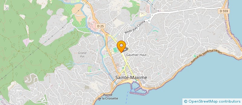 localisation de l'entreprise GOLFE INGENIERIE à SAINTE-MAXIME