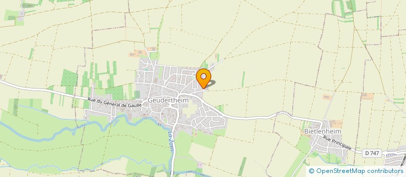 localisation de l'entreprise GONIMMO  GEUDERTHEIM