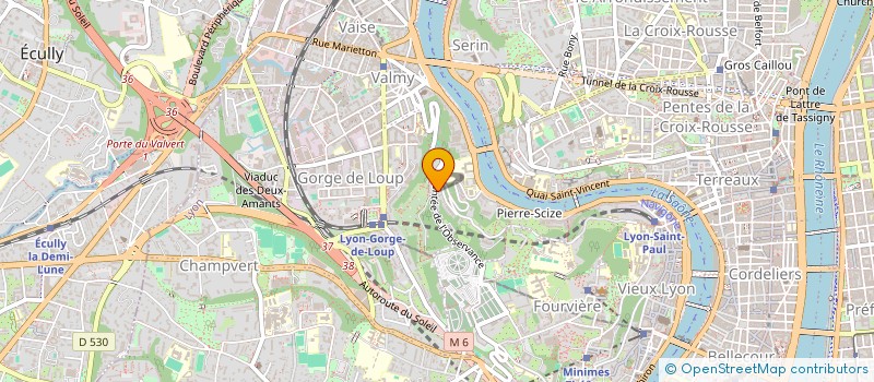 localisation de l'entreprise GONOUX  LYON