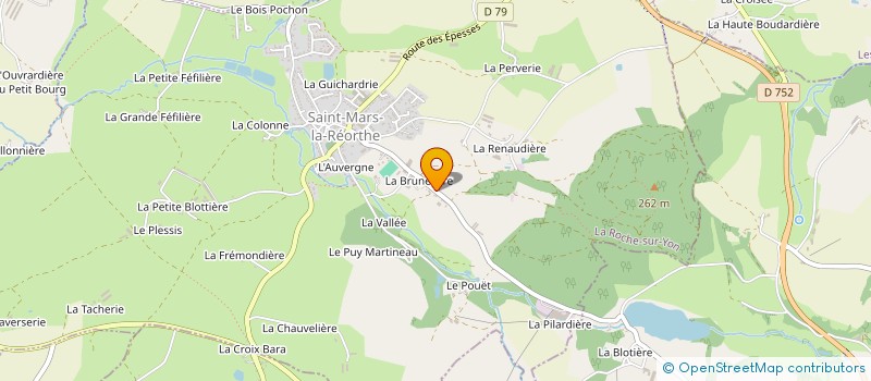 localisation de l'entreprise GOOSEWING  SAINT-MARS-LA-REORTHE