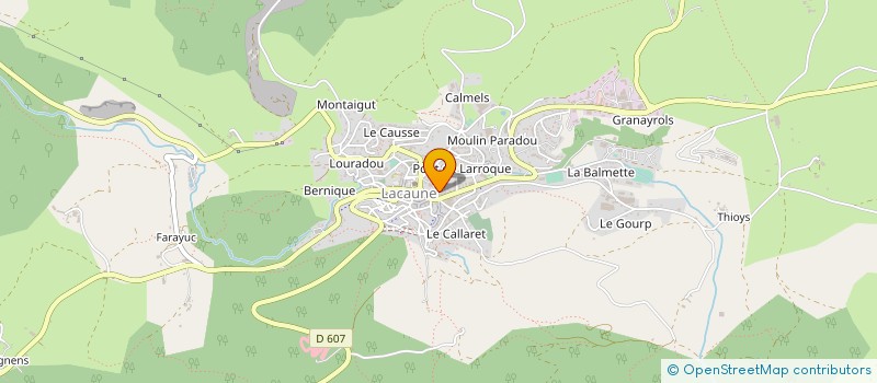 localisation de l'entreprise GOSHINKAI TARNAIS DE LACAUNE  LACAUNE