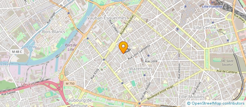 localisation de l'entreprise GOTHAM INVESTIR à LILLE