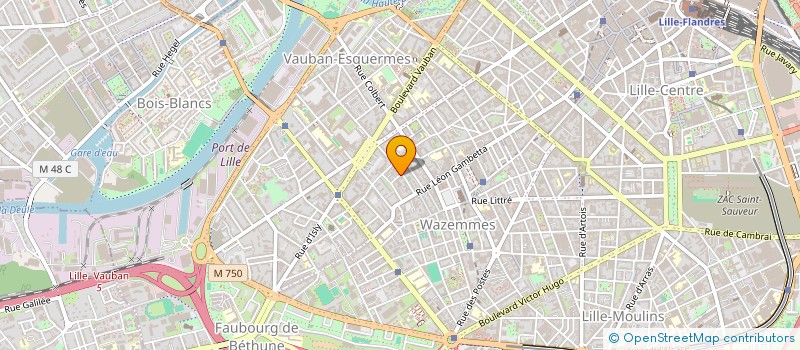 localisation de l'entreprise GOTHAM INVESTIS à LILLE