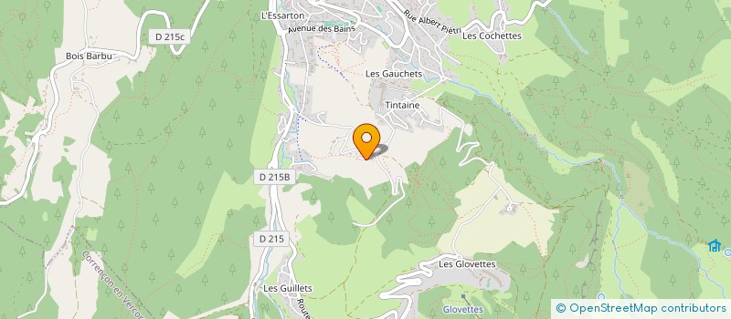 localisation de l'entreprise GOUY PAILLER O. à VILLARD-DE-LANS