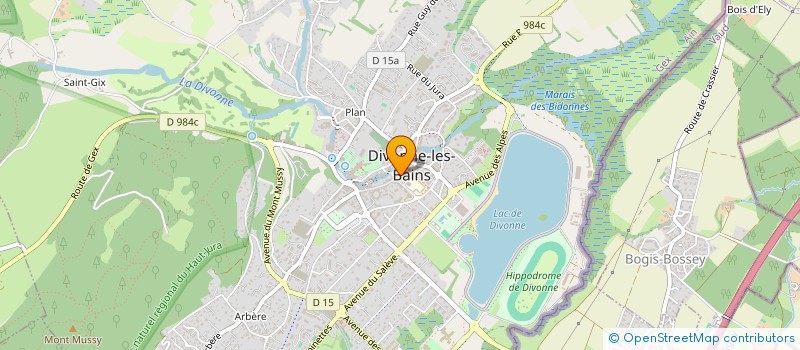 localisation de l'entreprise GOY GEOMETRES-EXPERTS ASSOCIES SARL à DIVONNE-LES-BAINS