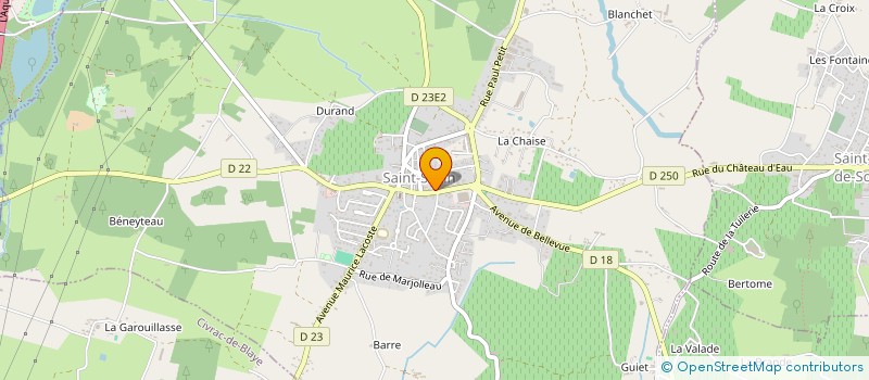localisation de l'entreprise GOYARD IMMOBILIER  SAINT-SAVIN