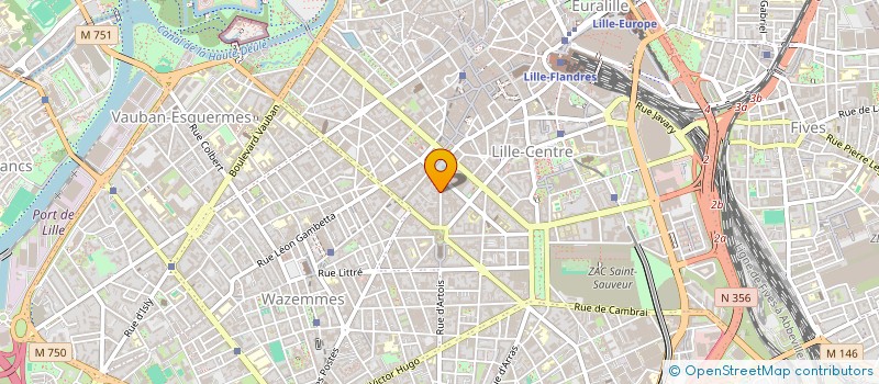localisation de l'entreprise GOYAV à LILLE