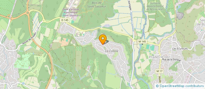 localisation de l'entreprise GPLR CAPITAL  SAINT-CLEMENT-DE-RIVIERE