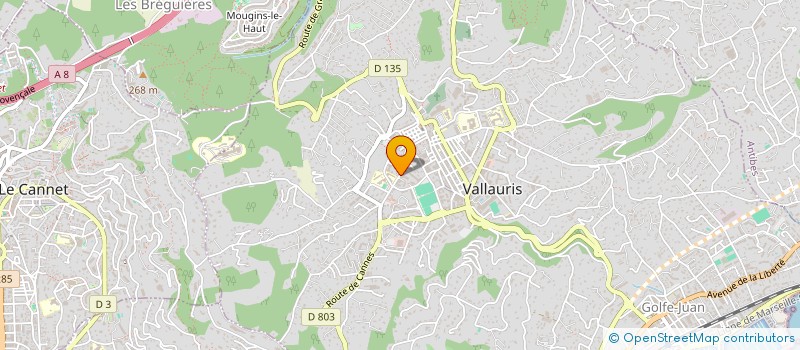 localisation de l'entreprise GR 37 à VALLAURIS