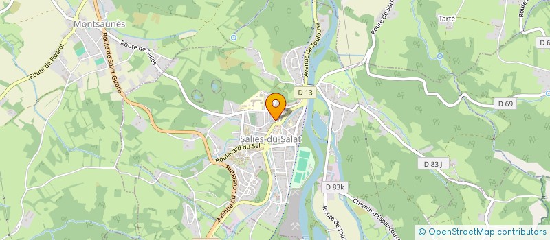 localisation de l'entreprise GRAINES DE SEL  SALIES-DU-SALAT