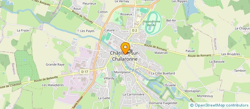 localisation de l'entreprise GRAINS DE BEAUX THES à CHATILLON-SUR-CHALARONNE