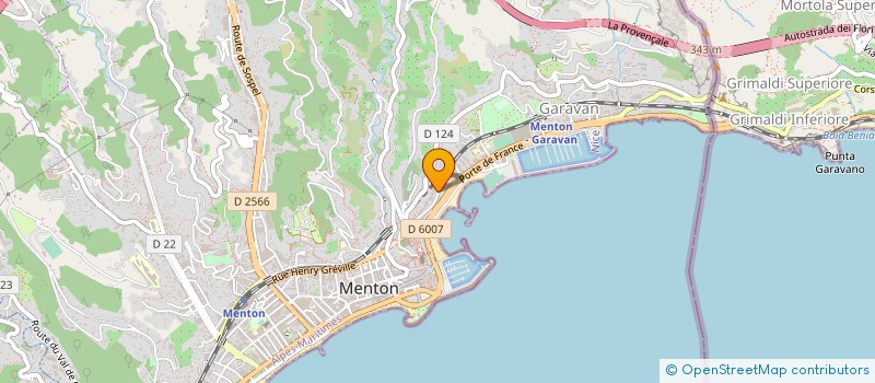 localisation de l'entreprise GRANDE PALMERAIE CTIM  MENTON