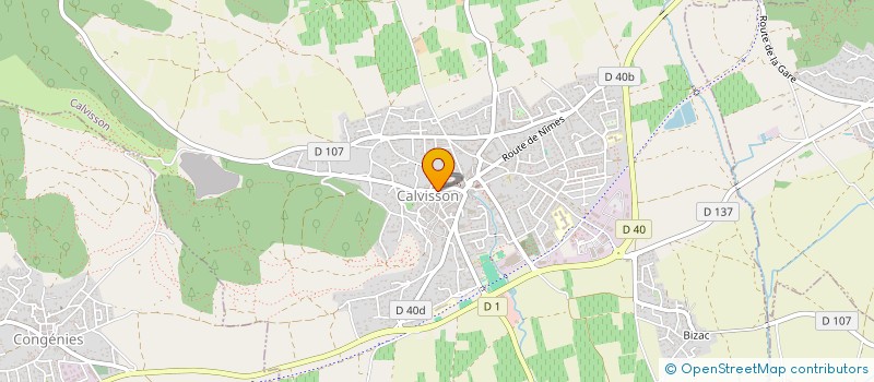 localisation de l'entreprise GRANDE RUE  CALVISSON