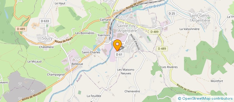 localisation de l'entreprise GRANJON FRERES  SAINTE-FOY-L'ARGENTIERE