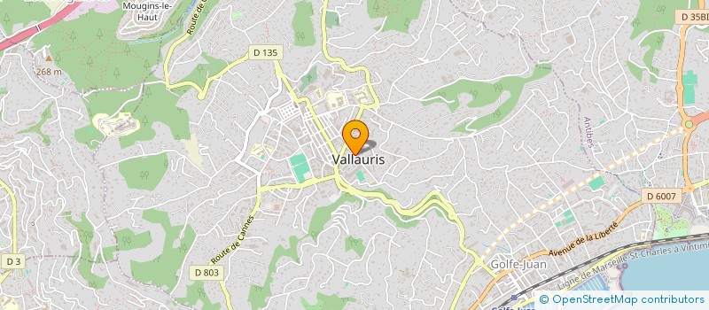 localisation de l'entreprise GRAPHEUS SAS à VALLAURIS