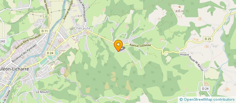 localisation de l'entreprise GREEN LOGS à BARCUS