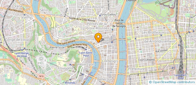 localisation de l'entreprise GREEN MEAT à LYON