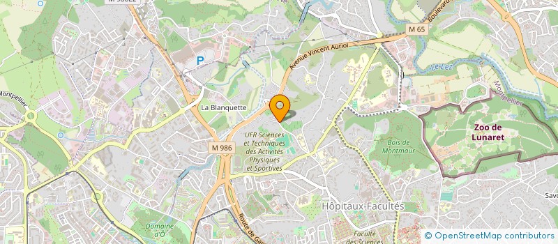 localisation de l'entreprise GREEN RHINO à MONTPELLIER