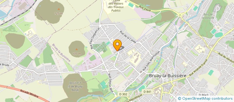 localisation de l'entreprise GREEN SAVE SOLUTION SAS  BRUAY-LA-BUISSIERE