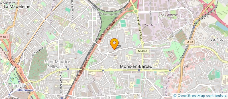 localisation de l'entreprise GREEN VEGETALE  MONS-EN-BARUL