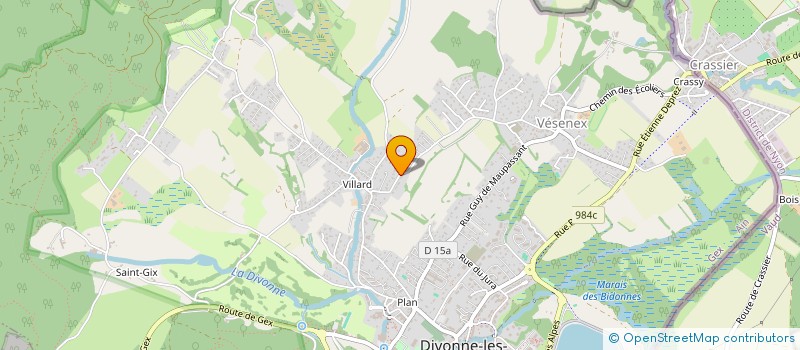 localisation de l'entreprise GREENMARLIN CONSULTING à DIVONNE-LES-BAINS