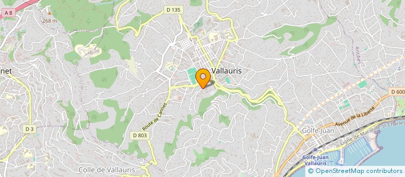 localisation de l'entreprise GREENPACT SOLUTIONS à VALLAURIS