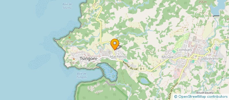 localisation de l'entreprise GRENIER DES PRODUCTEURS SOLIDAIRE DE MAYOTTE (G P S)  OUANGANI