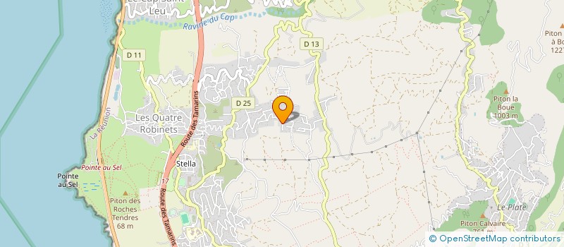 localisation de l'entreprise GRID ENERGY CONNECT à SAINT-LEU