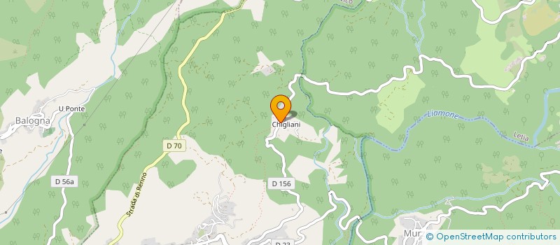 localisation de l'entreprise GRISO  MURZO