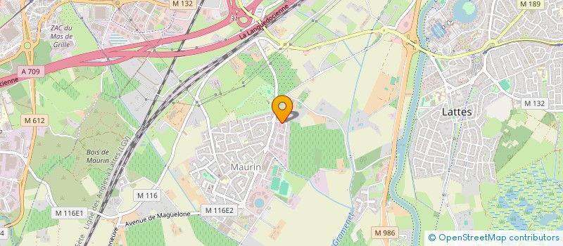 localisation de l'entreprise GRIZZLI à LATTES