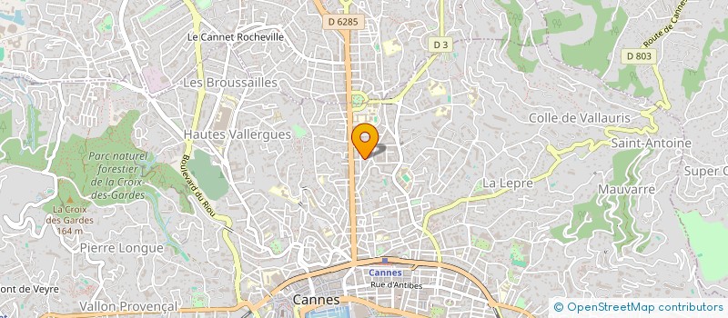 localisation de l'entreprise GROUPE D INTERVENTION PRIVEES SECURITE à CANNES