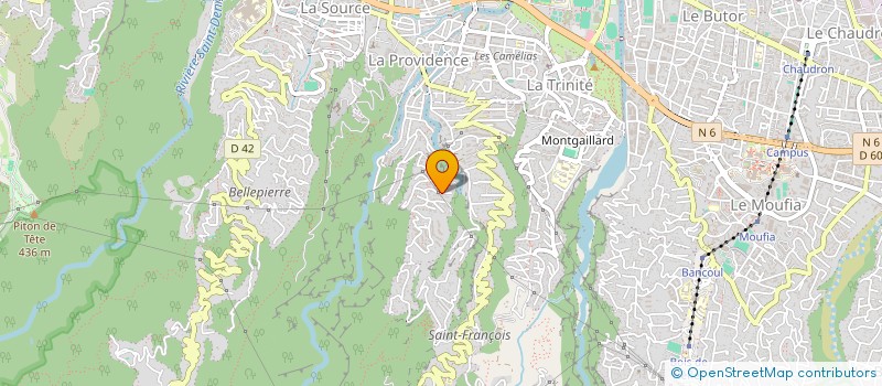 localisation de l'entreprise GROUPE REUNIONNAIS D'IMAGERIE FOETALE à SAINT-DENIS