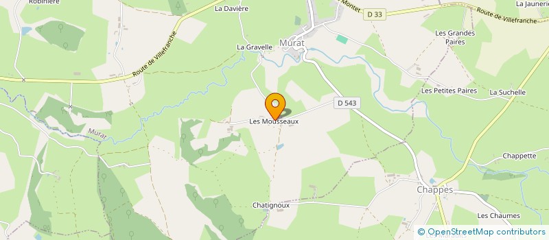localisation de l'entreprise GROUPEMENT AGRICOLE D'EXPLOITAITON EN COMMUN DES MOUSSEAUX à MURAT