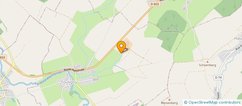 localisation de l'entreprise GROUPEMENT AGRICOLE D'EXPLOITATION EN COMMUN DE CHEVALIN  FOULIGNY